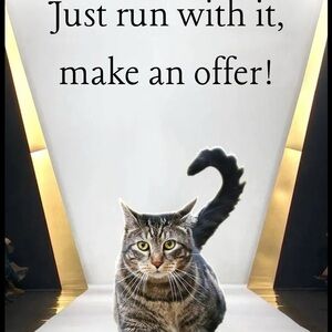 Make me an offer! 💃